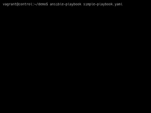 Simple Playbook