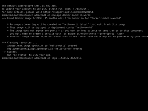Deploy De Imagem Docker