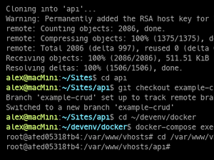 API Repo