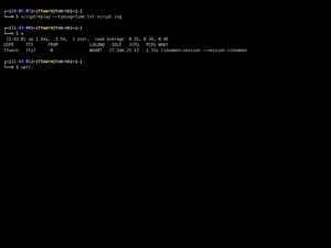 Screen