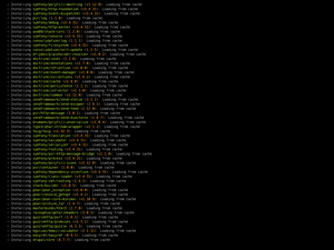 Composer Install