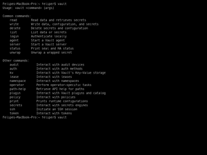 Vault Test