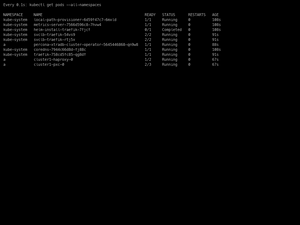 Stuck Namespace