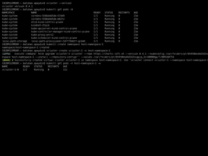 VCluster Demo