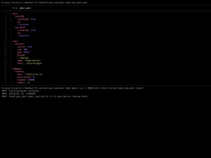 Testing With Goss