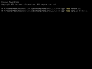 Function Do-What-It-Says Of Liri.Js App
