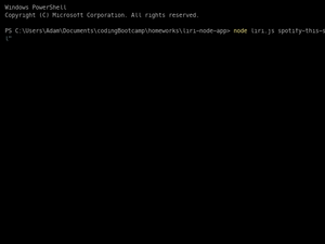 Logging Demo For Liri.Js App