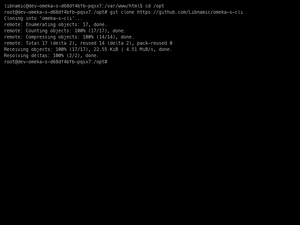 Omeka S CLI Install