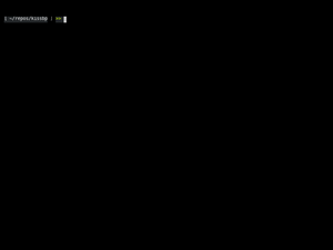 First Vid