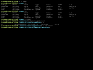 Terminal Recording