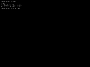 Testing Terminalizer