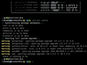 Apt In Arch