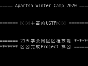 Apartsa-Winter-Camp-2020
