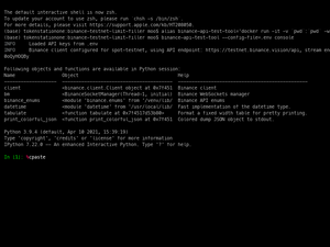 Binance API Test Tool Python Console Example