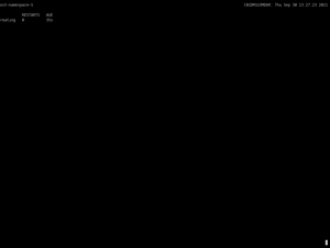 VCluster Demo