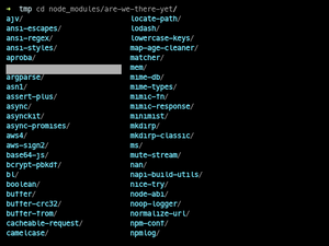 Zsh Cd