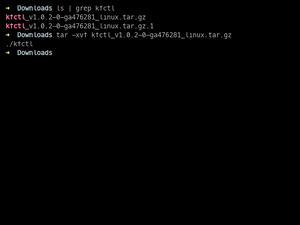 Kfctl Install And Version Check