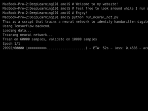 CNN MNIST Run
