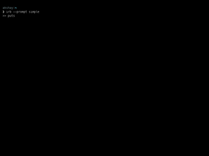 IRB Simple Prompt
