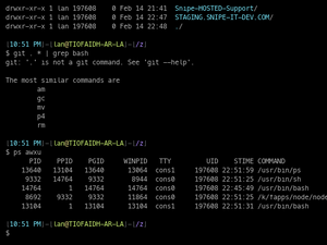 Terminalizer.TEST.Woot