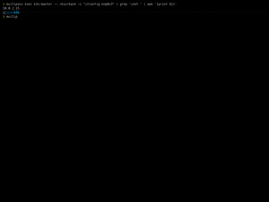 Multipass Virtualbox Fun