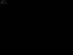Flp
