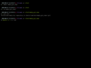 Empty Git Repo