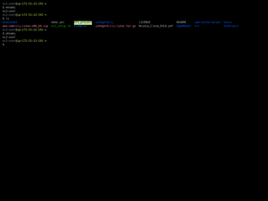 Test