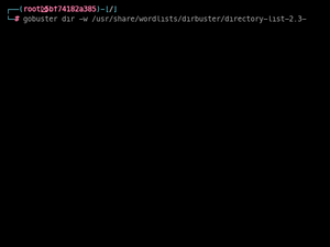 Gobuster - Try Hack Me - Basic Pentesting