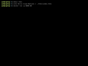 Nginx2