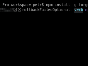 Forge CLI: Installation