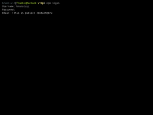 Npm Login