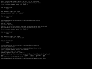 Ingress Nginx Bug