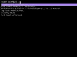 Interactive ECS Exec Using AWS CLI