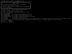 Deployment To Automatic Server