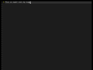 Vim