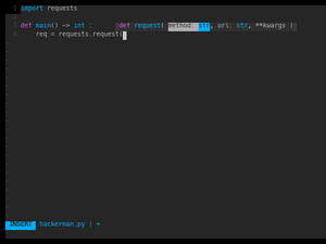 Vim YouCompleteMe Demo