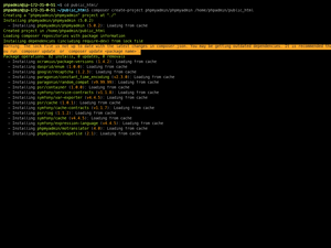 Composer Install PHP MyAdmin