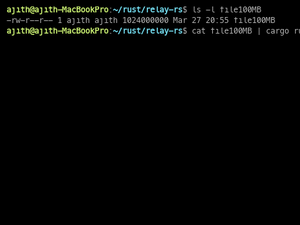 Relay-Rs