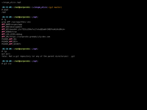 Neofetch Install On AWS-Linux Centos