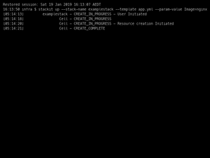 Stackit Usage Example