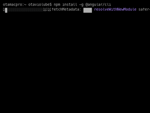 Angular CLI Instalation