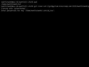 Git-Clone