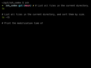 Zsh Codex Test 1
