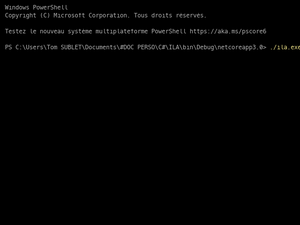 ILA_debug_exemple