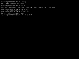 My Terminal