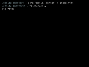 Fileserver