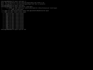 Nginx