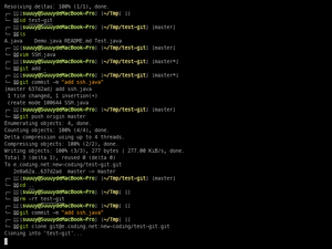 Git Test