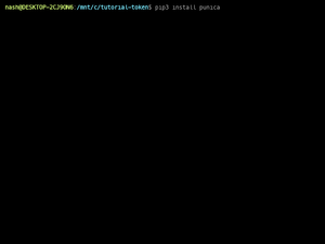 Punica-Install
